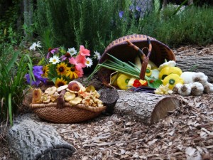 Tyrant Farms - mushrooms and garden goodies