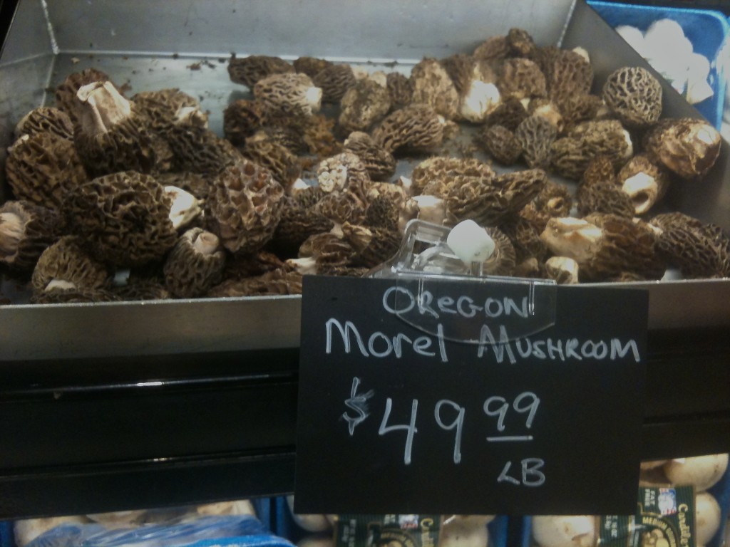 How to Grow & Eat King Stropharia The Gardener's Mushroom Tyrant Farms