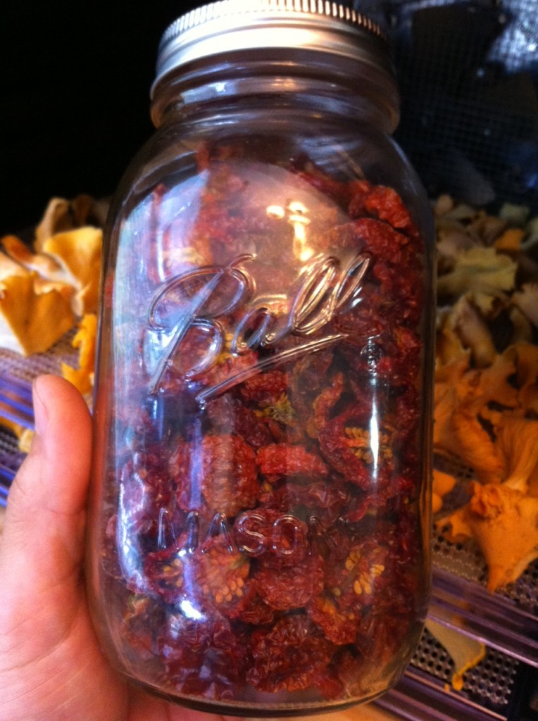 Jar of sun-dried tomatoes at Tyrant Farms.