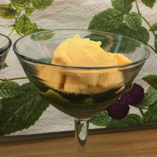 Recipe: Pawpaw passionfruit sorbet (made with native N. American fruit) -  Tyrant Farms