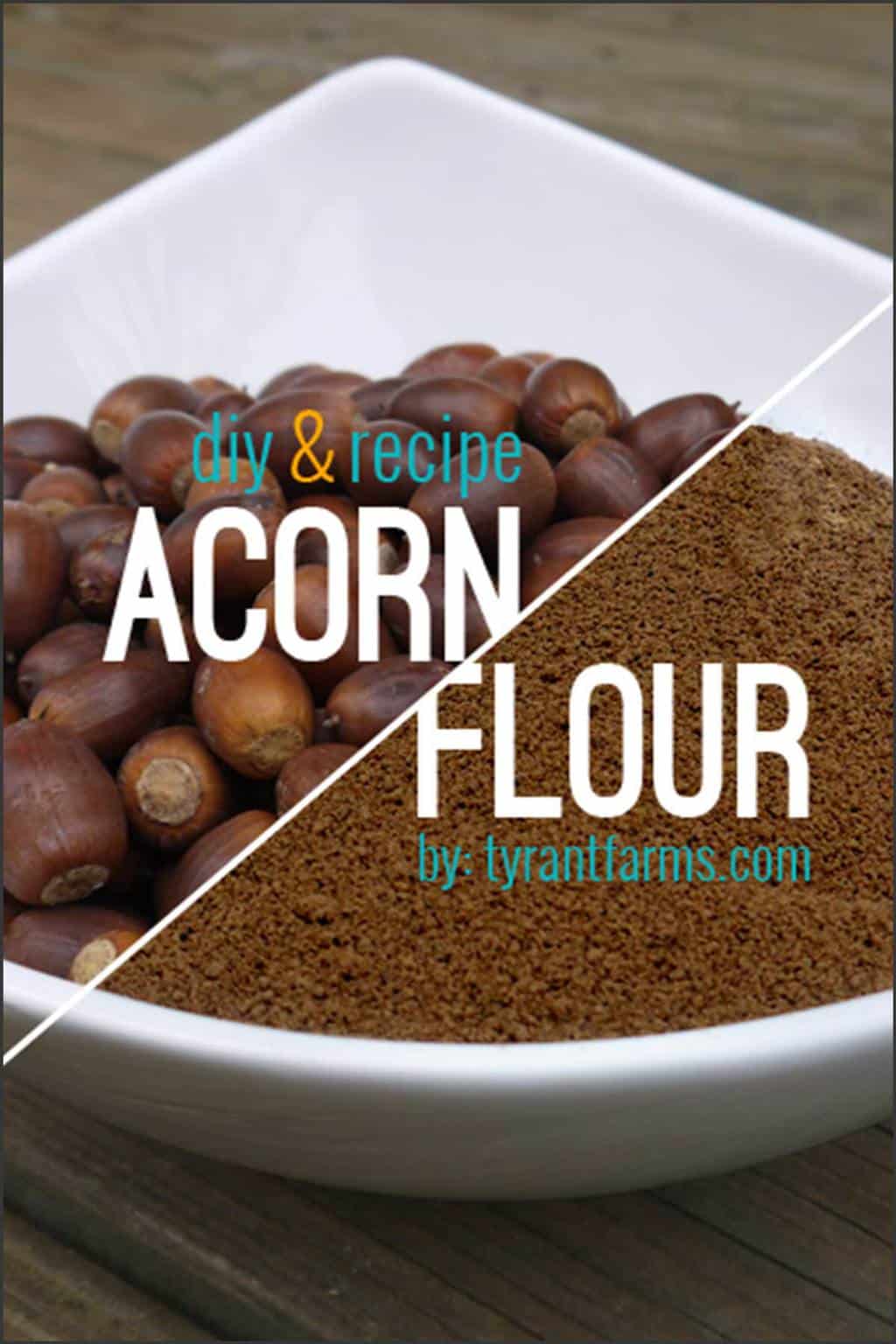 acorn flour yeast recipe