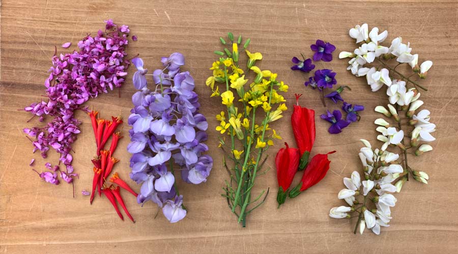 4-Course Guide to Edible Flowers for Your Garden