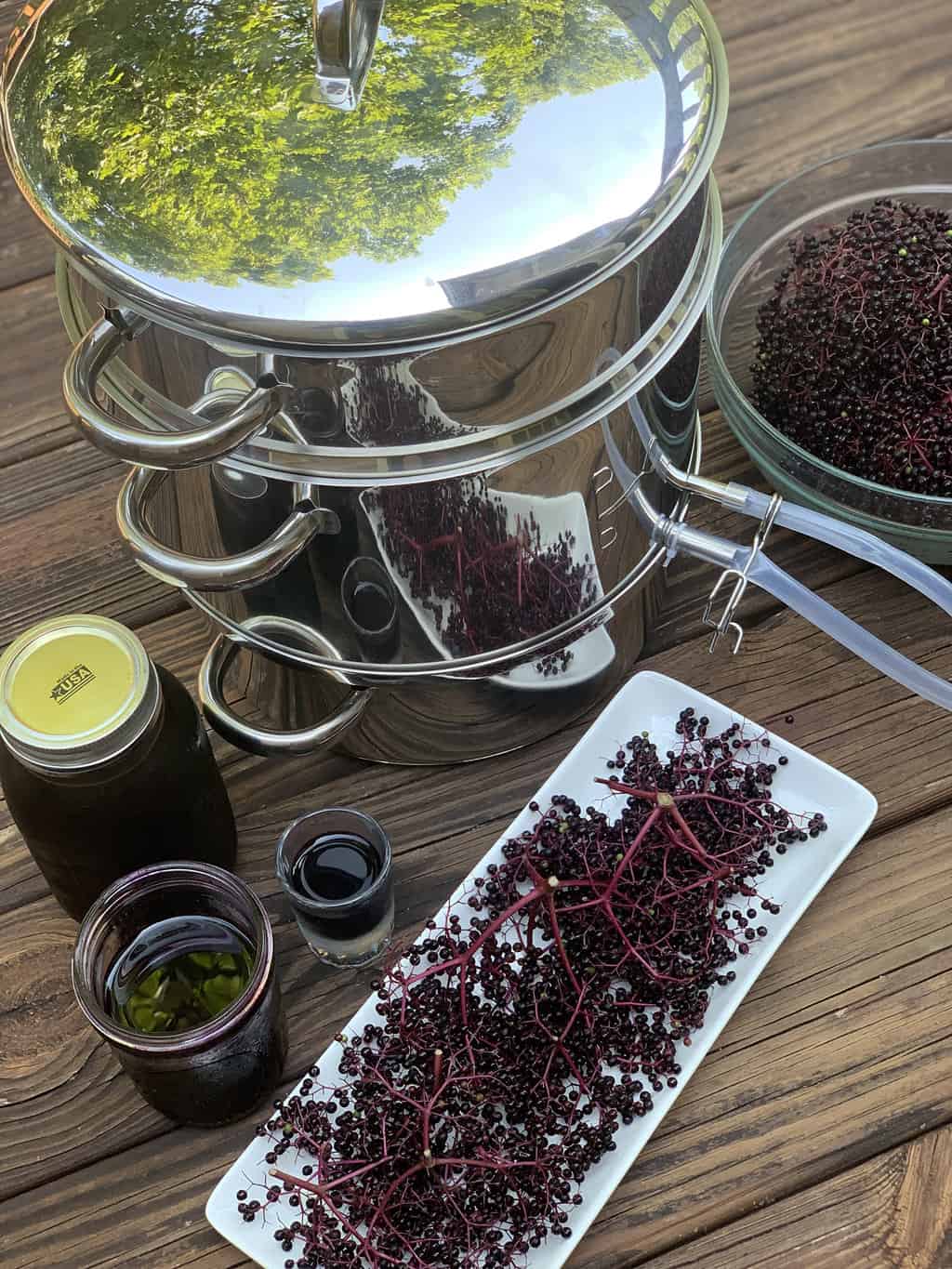 How to Use a Steam Juicer  Make Your Own Elderberry Juice with