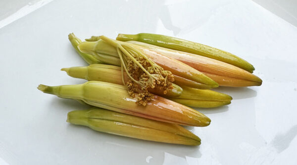 recipe: pickled daylily flower buds